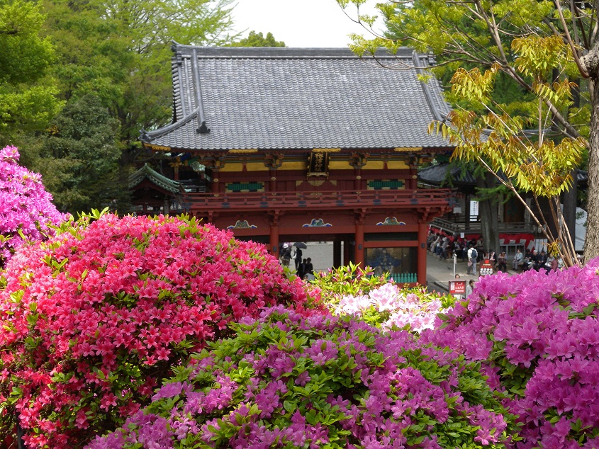 Nezu Shrine: power spot in Tokyo famous for a beautiful architecture and azalea
