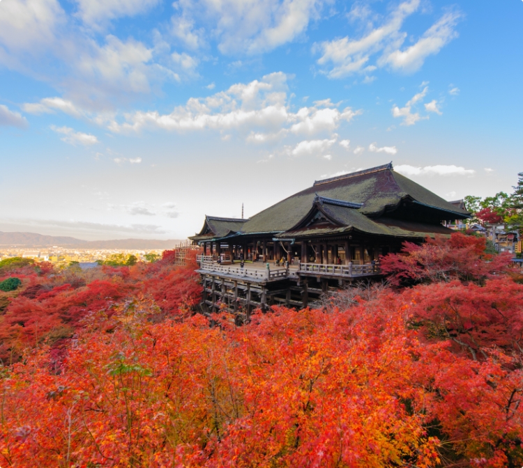  Shrines & Temples