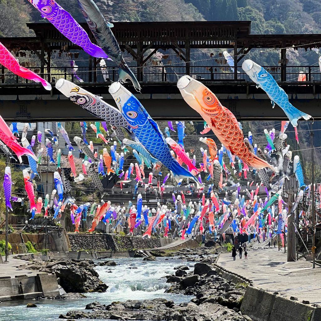 A great traditional beauty! Let’s go to Tsuetate Onsen, Kumamoto to see “koinobori”, a springtime tradition in Japan.